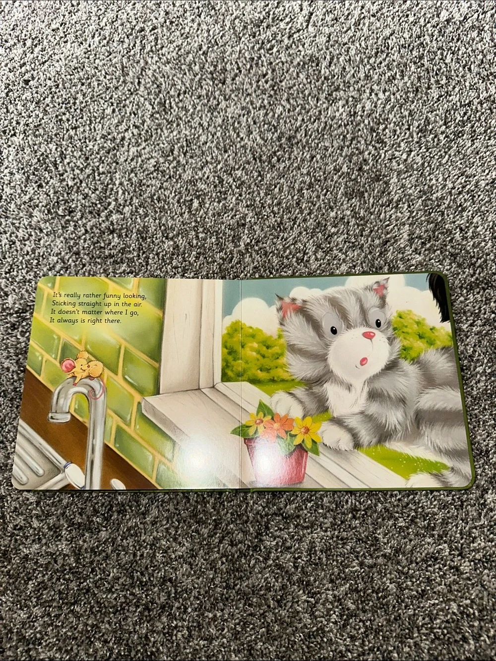It's Following Me! Gray Kitten Board Book - Kids Learning Toy
